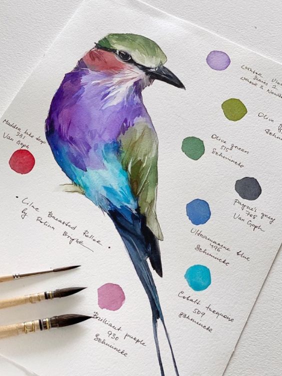 carnet de nature avec peinture d'oiseaux et notes / visiondeco